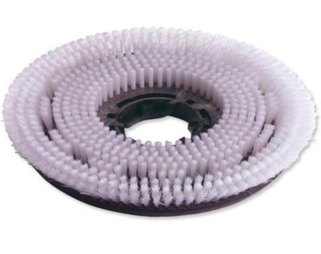 Rental store for FLOOR MAINT. BRUSH, 12  CONCRETE in Vancouver BC